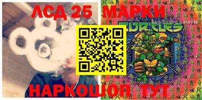 гидропоника Краснодар