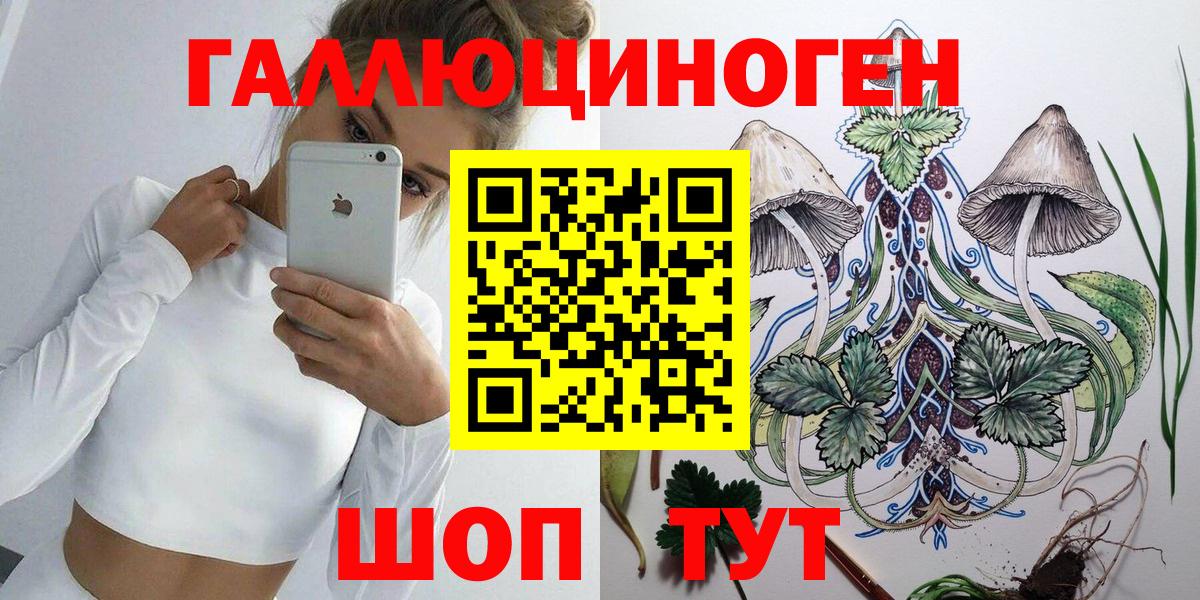 Кисловодск  Псилоцибиновые грибы Psilocybe  Вход с VPN 